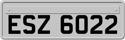 ESZ6022