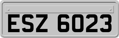 ESZ6023