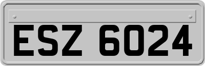 ESZ6024