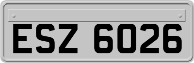 ESZ6026