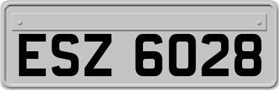 ESZ6028