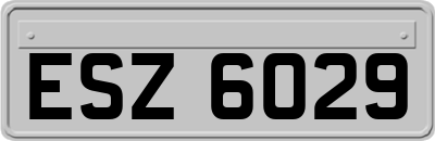 ESZ6029