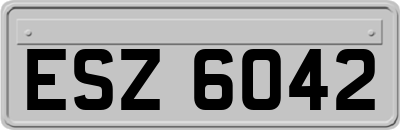 ESZ6042