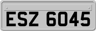 ESZ6045