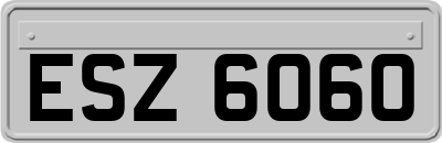 ESZ6060