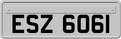 ESZ6061