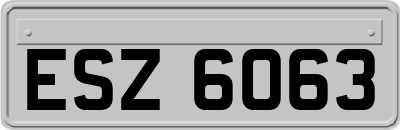 ESZ6063