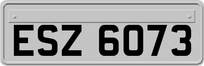 ESZ6073