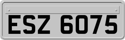 ESZ6075