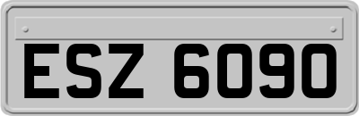 ESZ6090