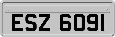 ESZ6091
