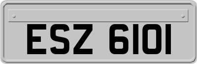 ESZ6101