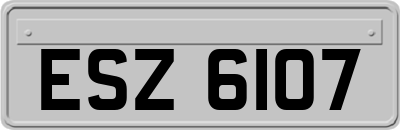 ESZ6107