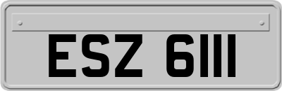ESZ6111