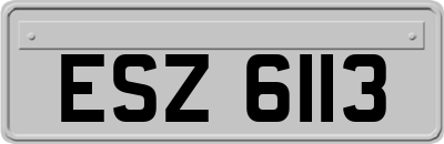 ESZ6113