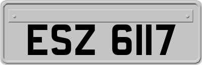 ESZ6117
