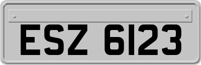 ESZ6123