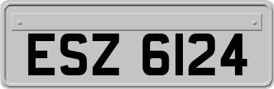 ESZ6124