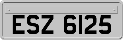ESZ6125