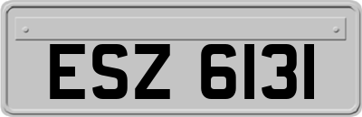 ESZ6131