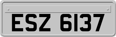 ESZ6137