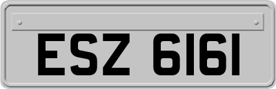 ESZ6161