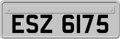ESZ6175