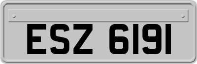 ESZ6191