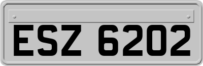 ESZ6202