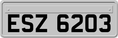 ESZ6203