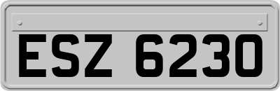ESZ6230