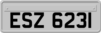 ESZ6231