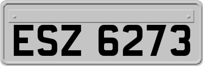 ESZ6273