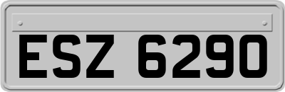 ESZ6290