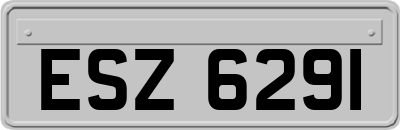 ESZ6291