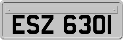 ESZ6301