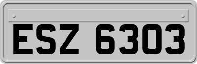 ESZ6303