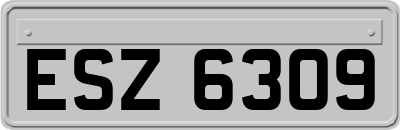 ESZ6309