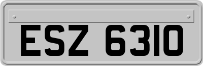 ESZ6310