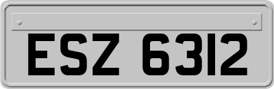 ESZ6312