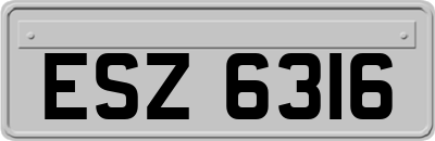 ESZ6316
