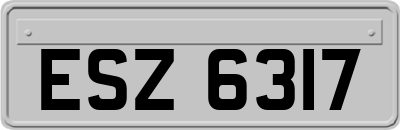 ESZ6317