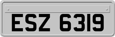 ESZ6319