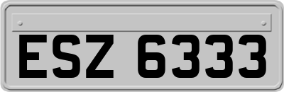 ESZ6333