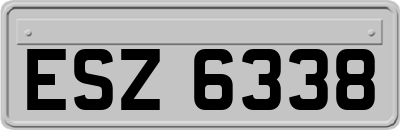 ESZ6338