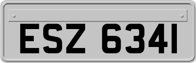 ESZ6341