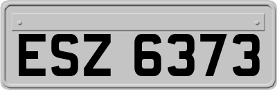 ESZ6373