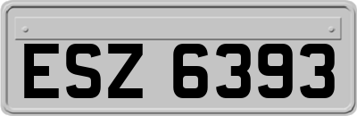 ESZ6393