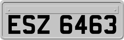 ESZ6463