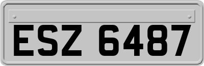 ESZ6487